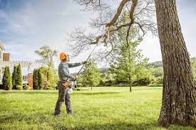 Best Arborist Consultation Services  in Goddard, KS